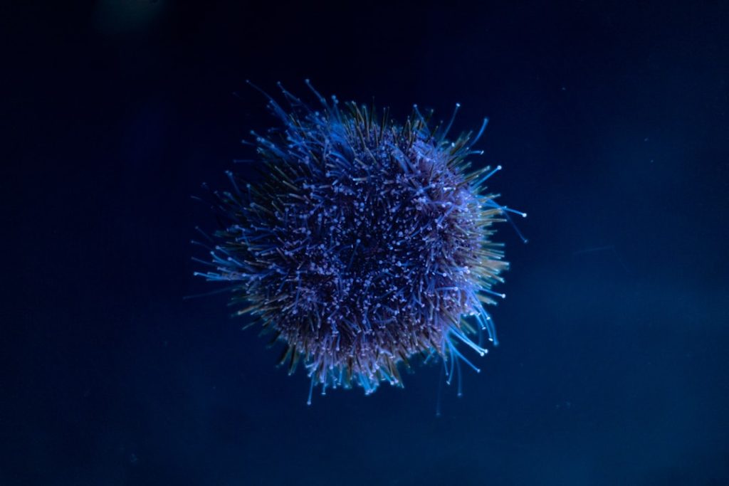 De mooiste korte kapsels voor dames in 2025